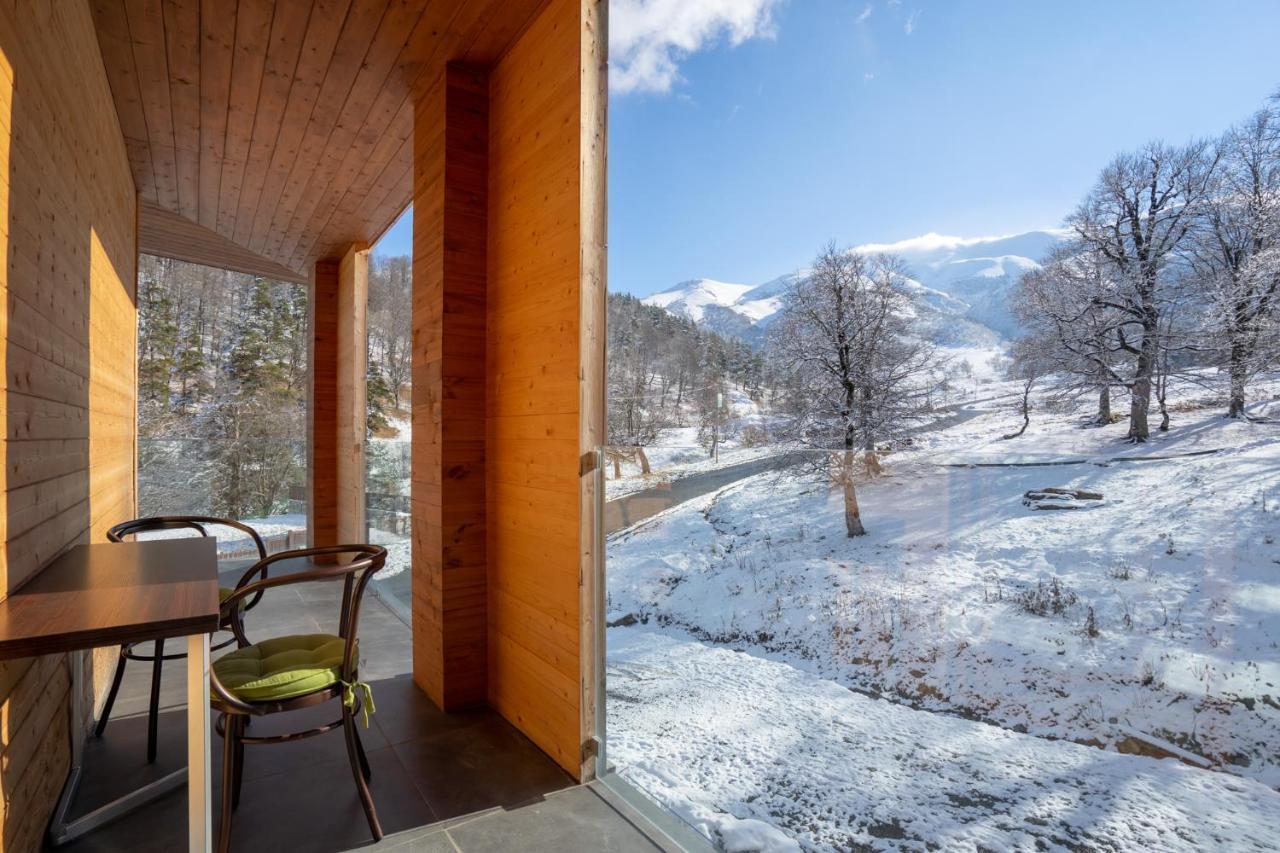 Didveli Valley Bakuriani Esterno foto